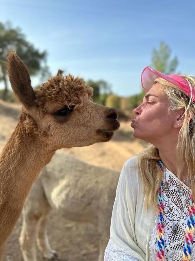 Alpaca Farm And B&B - Mama Adama Grândola Kültér fotó